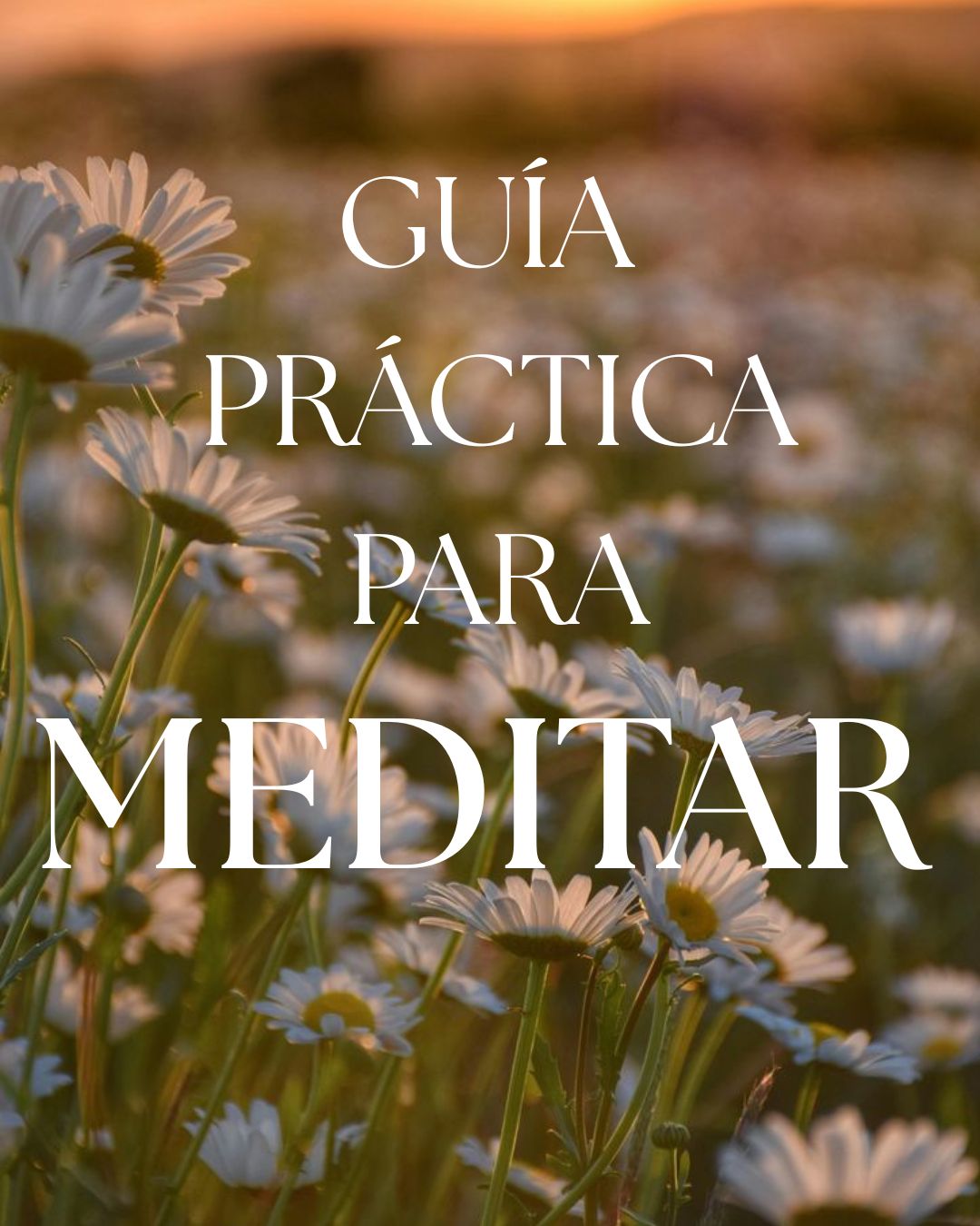 Guía Práctica para Meditar